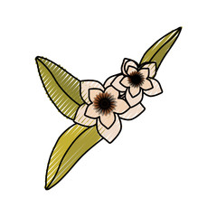 Beautiful flower symbol