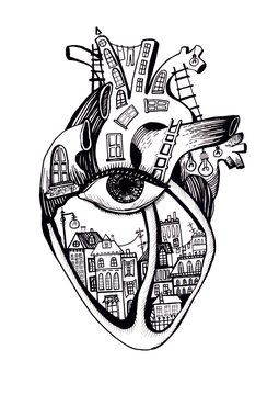  human heart
