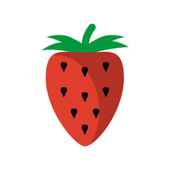 fruit icon image