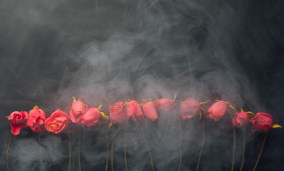 Naklejka premium goth styl suche róże, czarne tło z dymem
