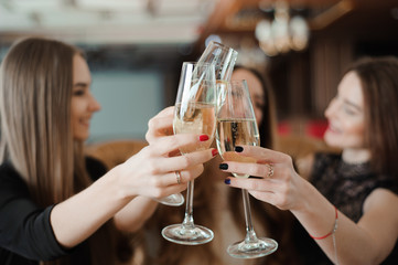Portrait of happy young friends touching the glasses with each other
