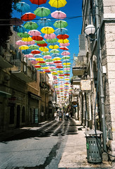 analog israel experience