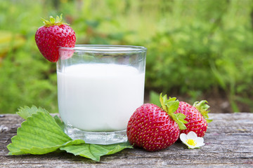 glass of milk and a handful of strawberries on a wooden background in summer garden