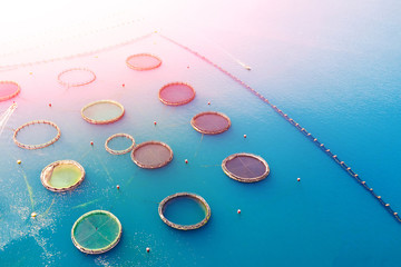 Fish farm in the sunlight, aerial photography