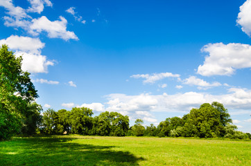 Awesome landscape with green meadow