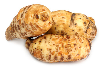 Edible taros