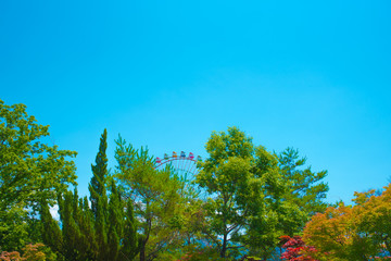 森のゆうえんち