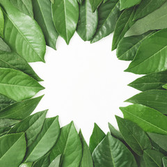 Round frame of leaves. Creative layout made of green leaves. Flat lay. Top view