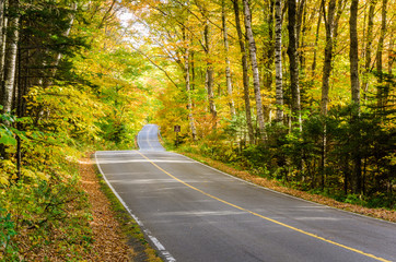 Obraz premium Uneven Mountain Road Through a Forest on a Sunny Autumn Day.