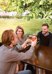 Smiling young friends clinking glasses of beer