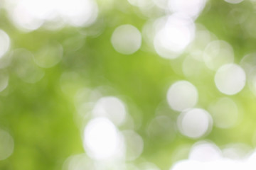 Stock Photo - background in spring green colors, bokeh diffuse effect