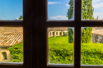 Garden seen through the window