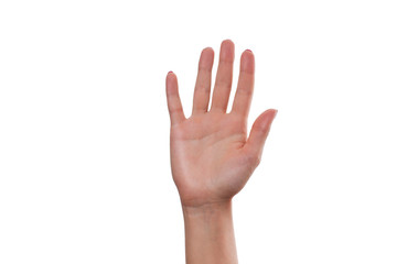 Fototapeta premium Woman hand showing five count