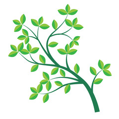 Obraz premium Isolated Green branch and leaf-Vector Illustration
