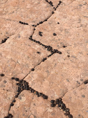 Moqui Marbles, viele, klein (grand staircase national monument, USA)