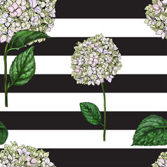 Seamless pattern with flowers of phlox on black and white striped background.  illustration.