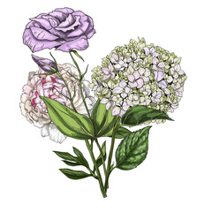 Hand drawn bouquet of phlox, eustoma and peony flowers isolated on white background. Botanical  illustration.