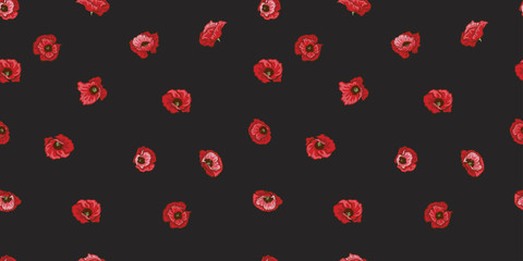 Seamless pattern with red poppy flowers isolated on black background.  illustration.