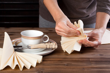 Lunch table napkin folding