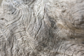 Old weathered wood background. Low DOF