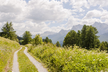 Obraz premium Ardez, Ftan, Engadin, Unterengadin, Wanderweg, via Engiadina, Feldweg, Alpen, Graubünden, Bergwiesen, Bergbauer, Sommer, Schweiz