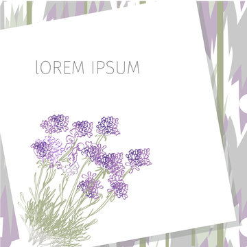 Frame with empty place for text or picture. White colored interior, with lavender flowers, Mock up.