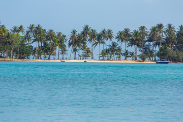 Beautiful tropical beach with palm trees in Thailand