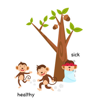 Opposite sick and healthy illustration