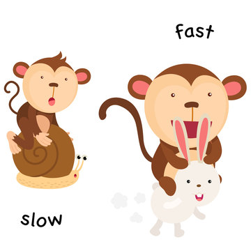 Opposite slow and fast illustration