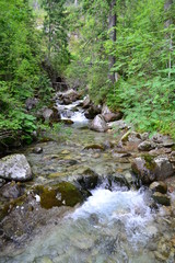 potok górski w Tatrach