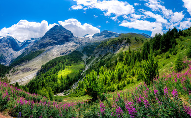 Fototapeta premium Italy, Stelvio National Park. Famous road to Stelvio Pass in Ortler Alps. Alpine landscape.