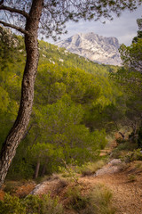 The Sainte-Victoire mountain, near Aix en Provence, which inspired the painter Paul Cezanne