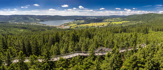 Amazing panorama of Lipno Dam and Sumana national park from Treetop Walkway,  Lipno nad Vltavou, South Bohemia, Czech Republic