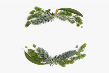 Fototapeta na wymiar Beauty minimalistic frame wreath with green and blue succulent plants. Flat lay, top view.