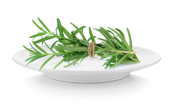 rosemary in plate on white background