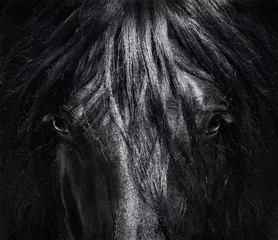 Papier Peint photo Lavable Chevaux Portrait close up cheval de race espagnole avec une longue crinière. Photo en noir et blanc.