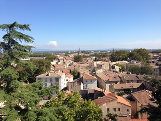 Avignon