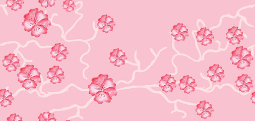 Fototapeta na wymiar Cherry blossoms on pink