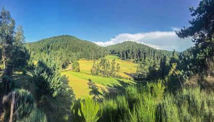 Bewaldete Hügel in der Sonne © rdnzl