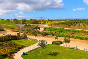 Early spring in Israel.