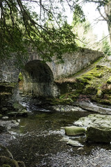 Paysage forestier avec rivière et pont en pierre lieu de tournage Game of Thrones Irlande du Nord
