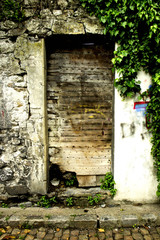 Porte ancienne en bois encadr&eacute;e de pierre et de v&eacute;g&eacute;tation dans un quartier historique de Lyon