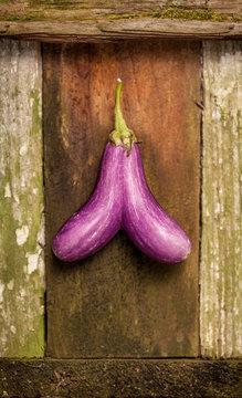 Siamese Eggplant