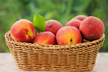Basket of Fresh Peaches