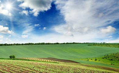 Fototapeta na wymiar picturesque rural landscape with green spring field lit by bright sun