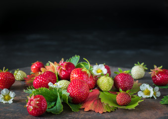 Erdbeeren mit Blüten und Blättern vor schwarzem Hintergrund