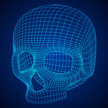 Skull Wireframe Low Poly Mesh. Vector illustration technology live and death concept