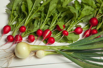 Fresh vegetables. Radish and onion on a white background