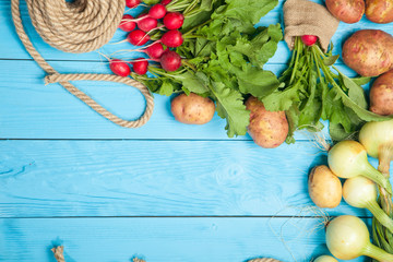 Radish, potatoes on a blue background