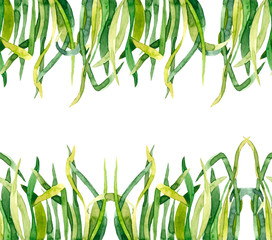 Green Grass Pattern Watercolor